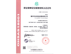 重庆午夜小影院设计